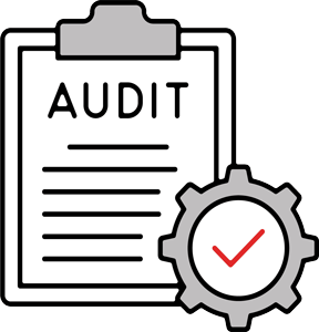 Icon representing a detailed accessibility audit for websites to identify compliance and usability issues