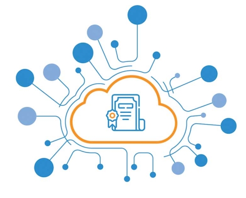 Right sizing Microsoft 365 licenses with usage based optimization